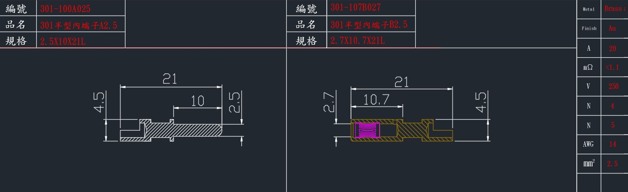 301-100A025.jpg